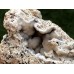 Chalcedon